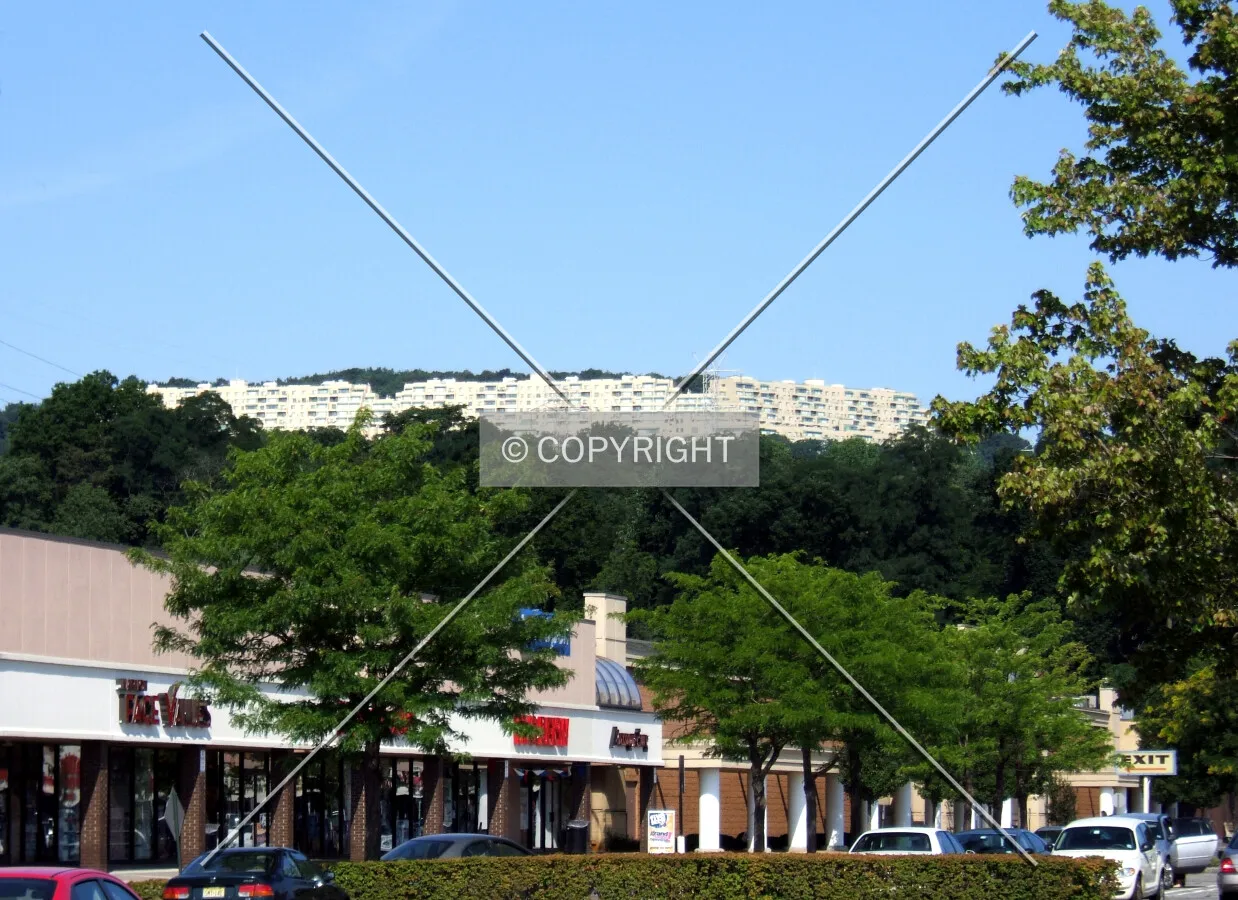 View from the southeast