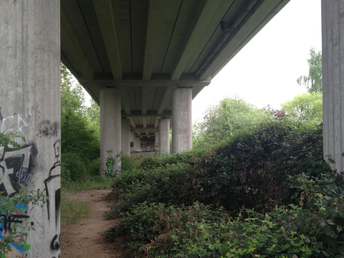 Photo 317-292-399