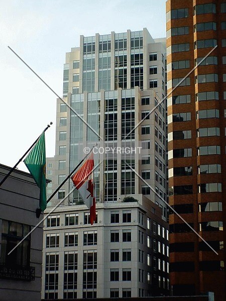 Photo 317-830-570