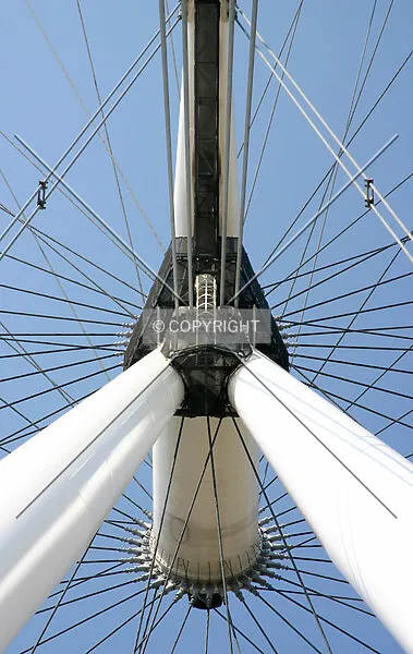 Photo 318-166-112