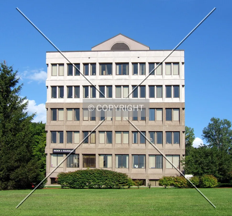 View from the west