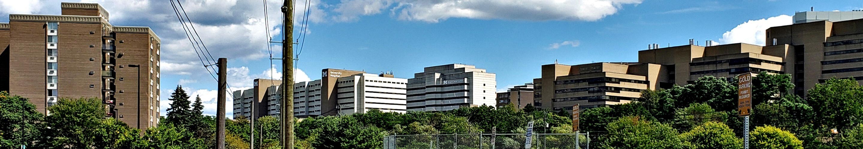 Panorama of Ann Arbor