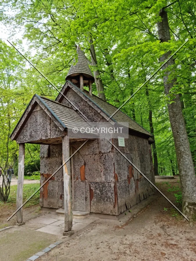 Photo 319-017-551