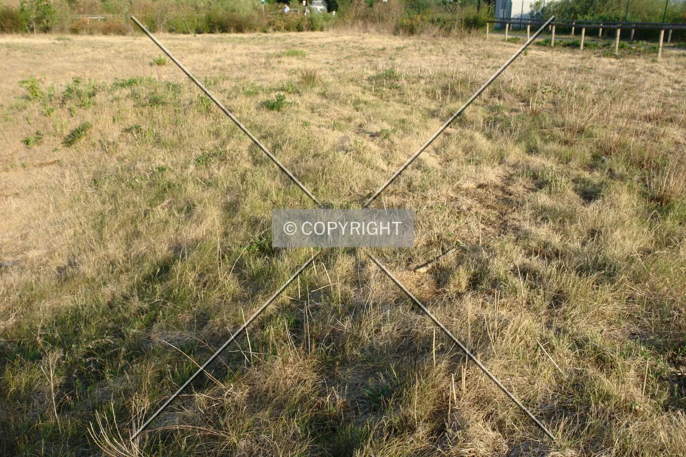 Withered grass in a meadow