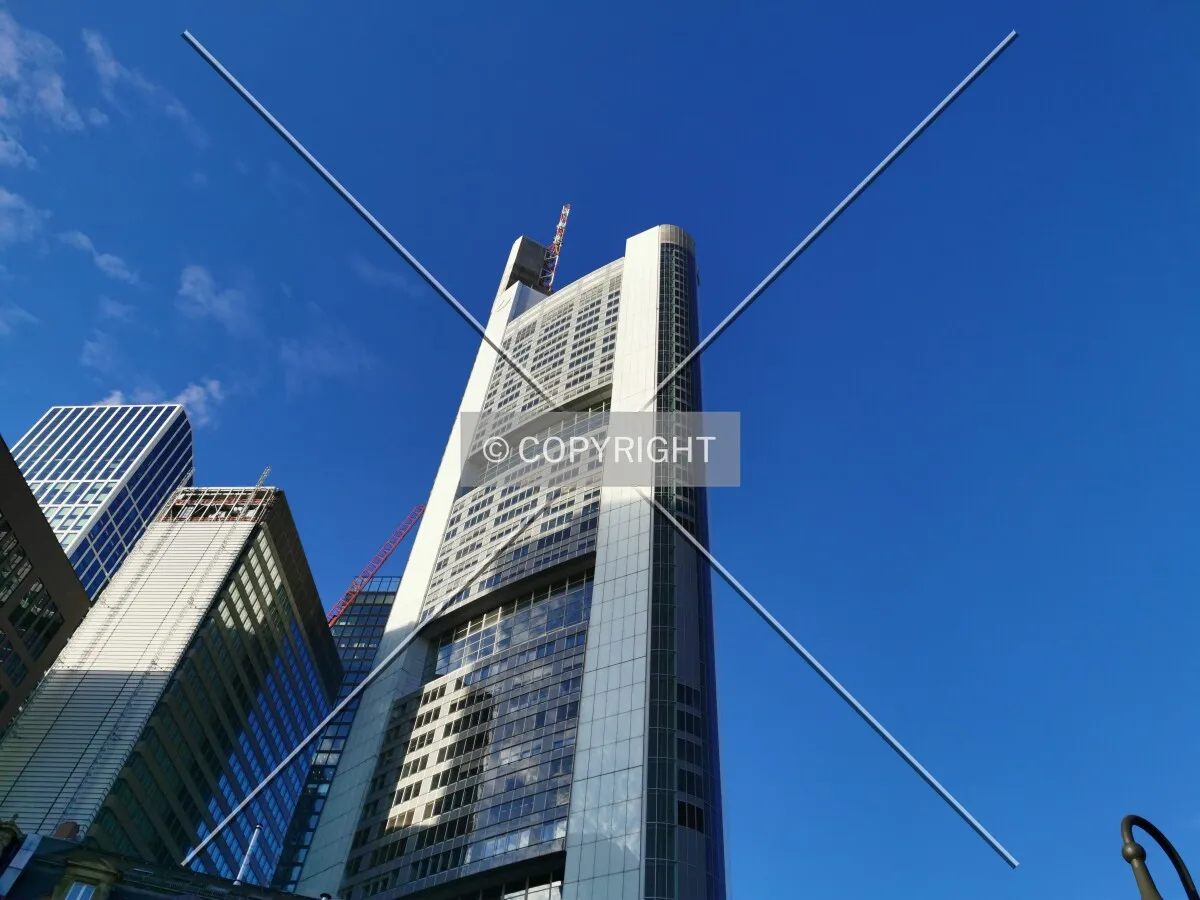 Photo 319-111-272