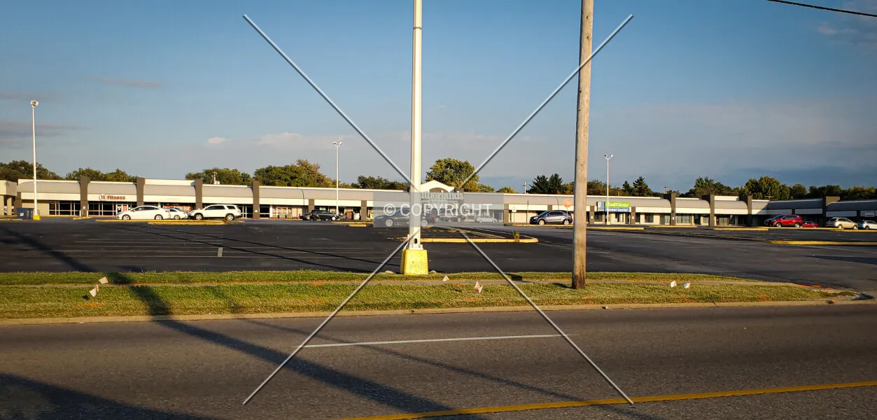 Photo 319-189-912
