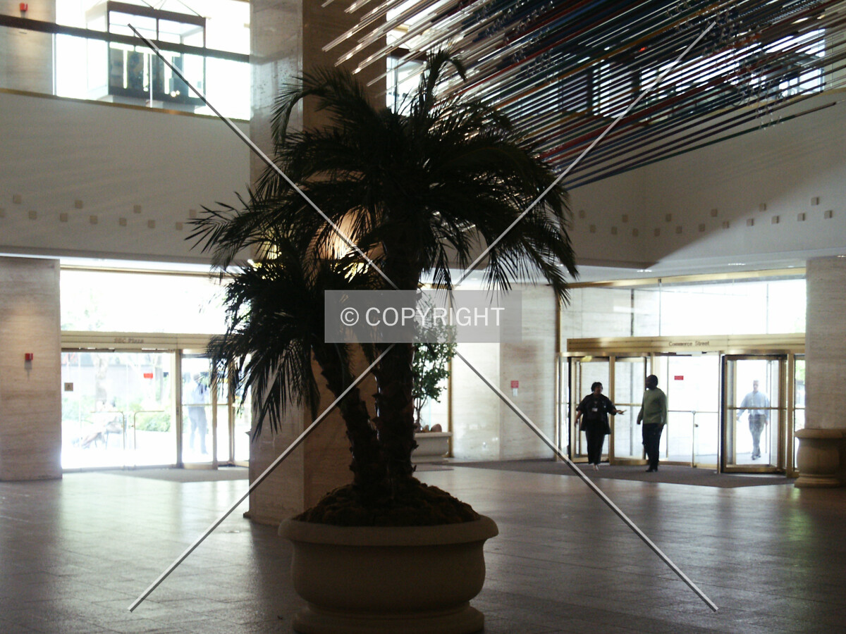 Looking northwest across the lobby