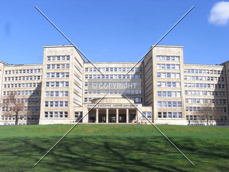 Photo 319-829-672