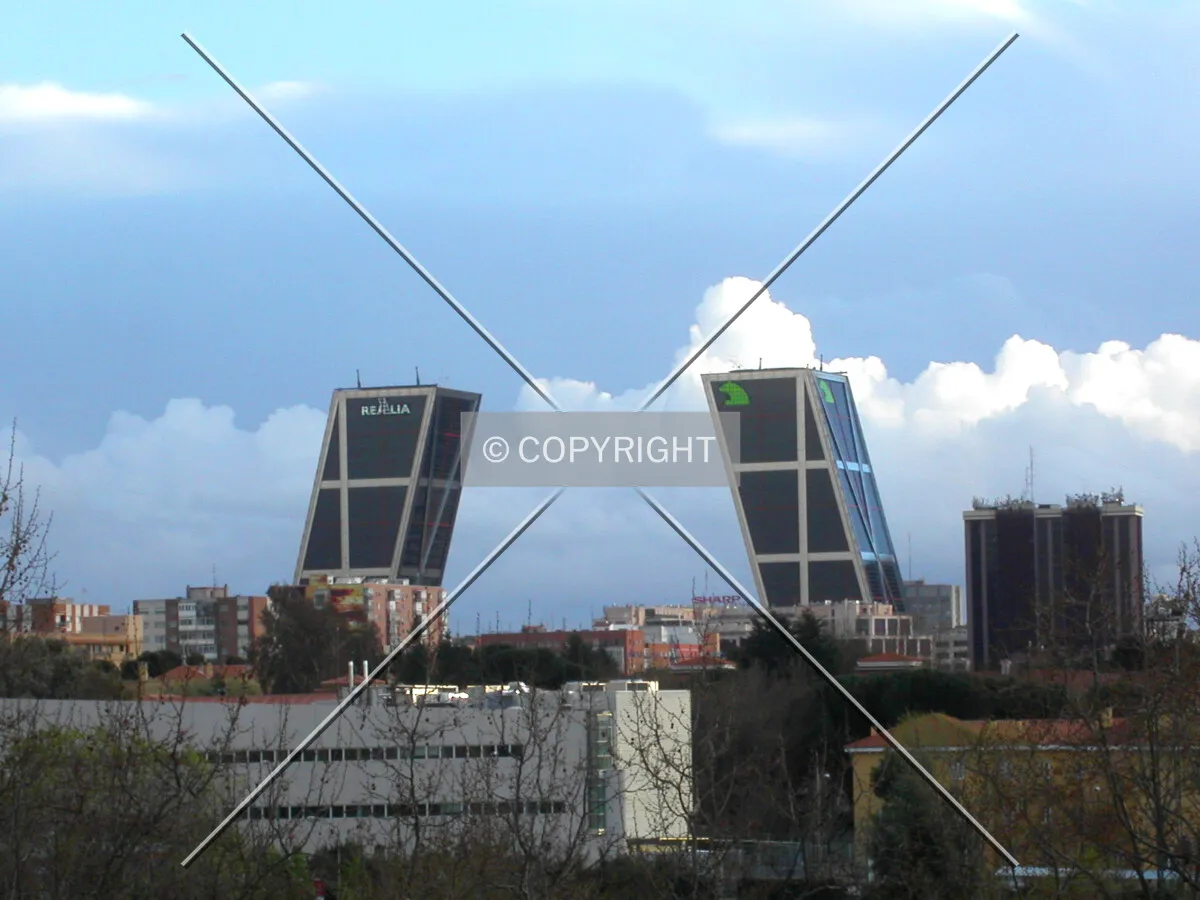 The towers as seen from Paque Norte
