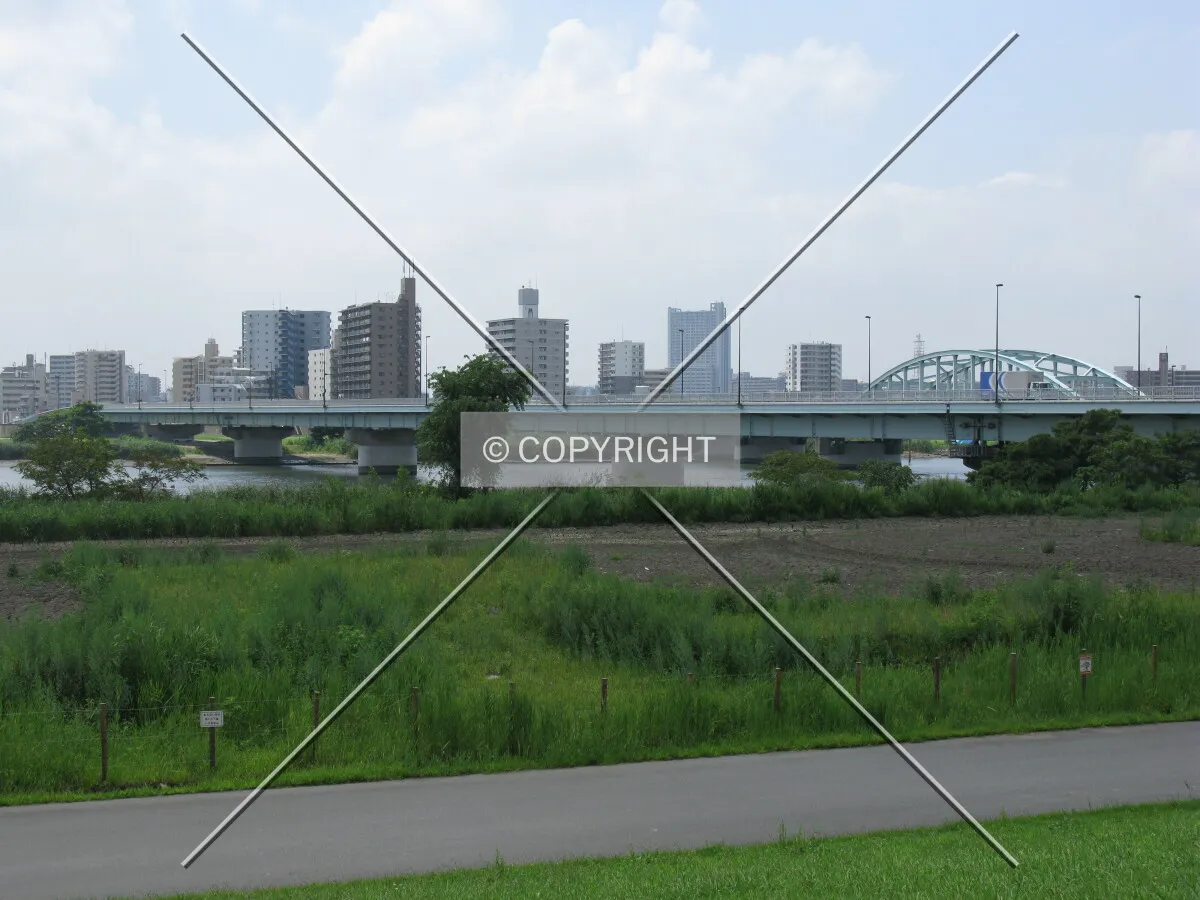 Photo 320-569-921