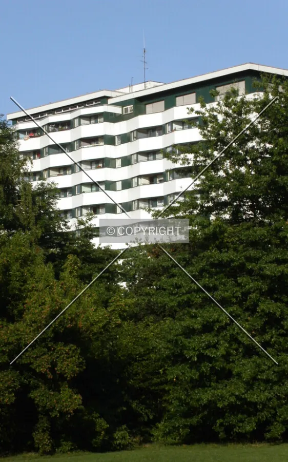 View of the building between the trees of the park grounds