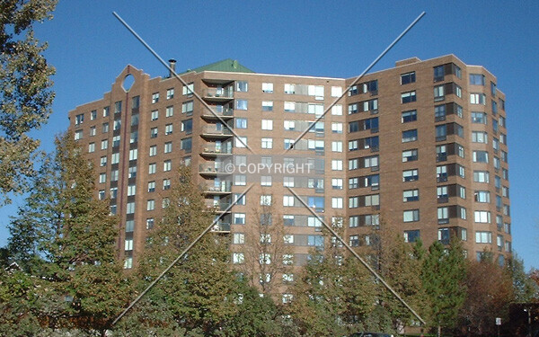 Photo 321-216-268