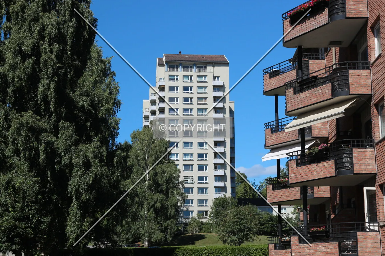 View from the south