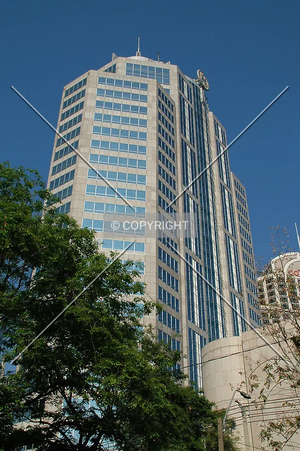 Looking up from Wireless Road