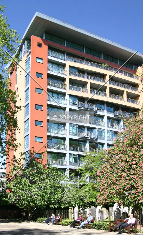 The south side viewed through the flora of Bunhill Fields