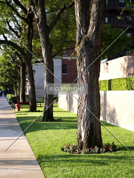 Photo 322-119-747