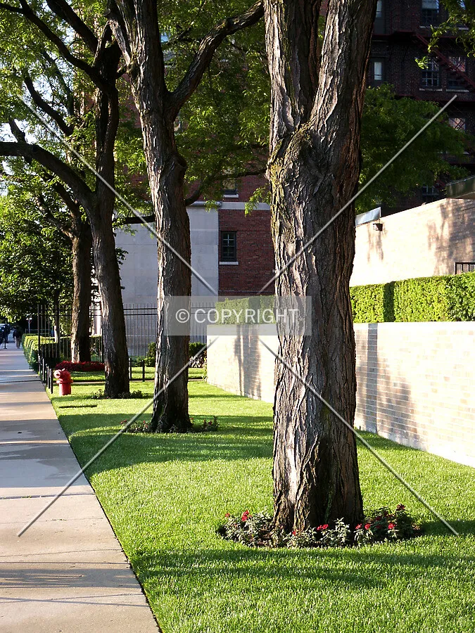 Landscape in front of the entrance