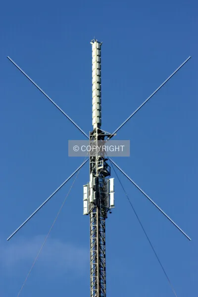 Photo 322-207-132