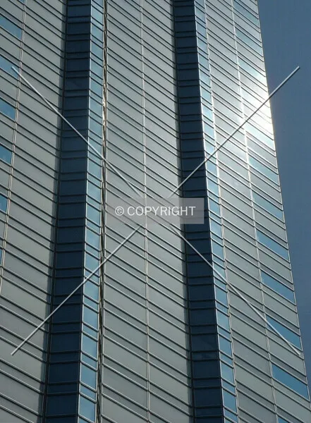 Photo 322-299-376