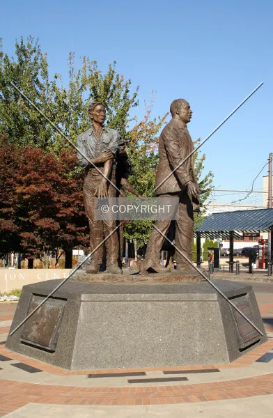 Photo 322-384-495