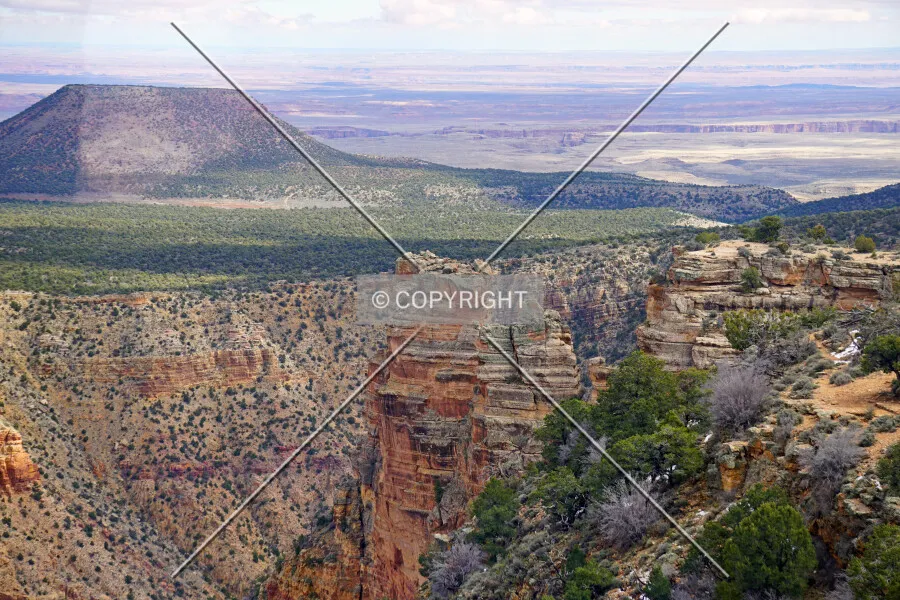 Photo 322-481-836