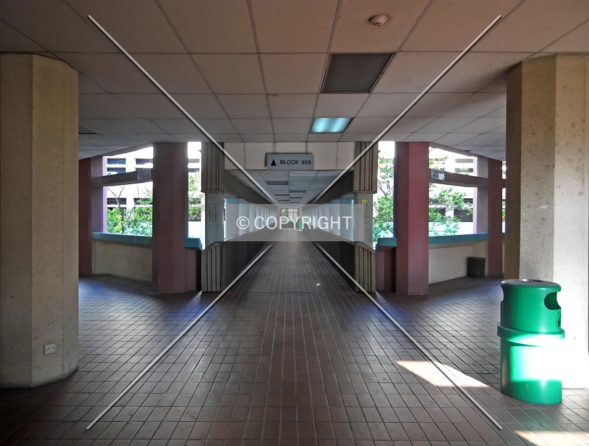 View from the northwest