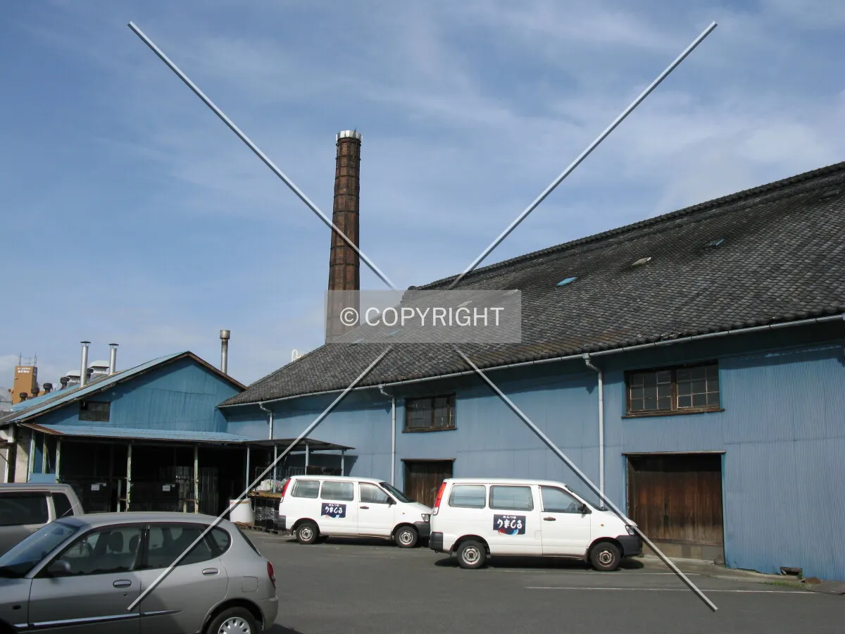 Photo 323-123-264
