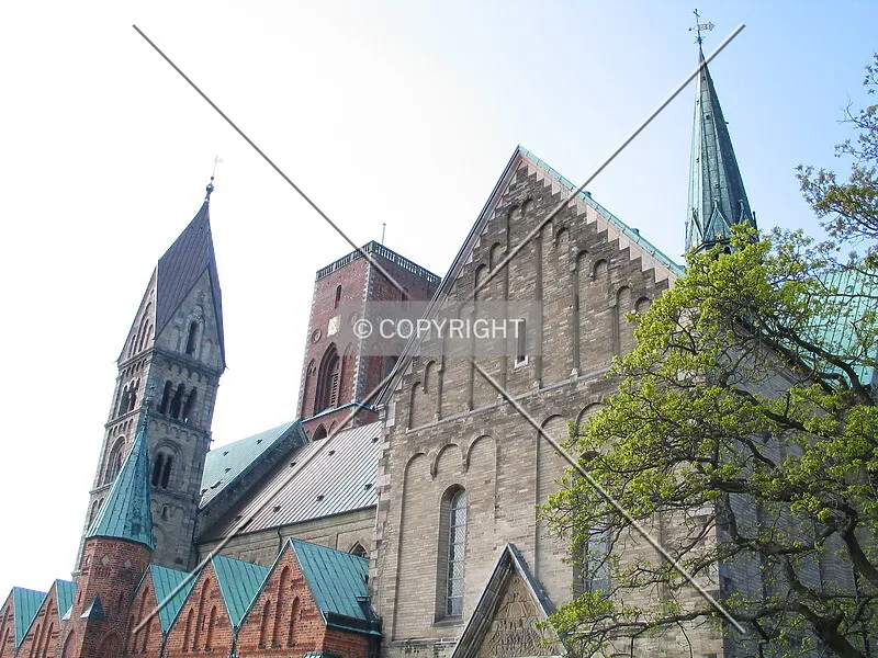 Photo 323-138-636