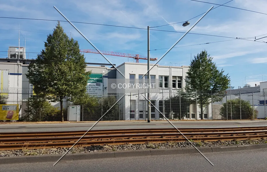 Photo 323-276-165