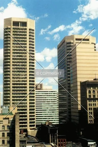 Photo 323-295-492