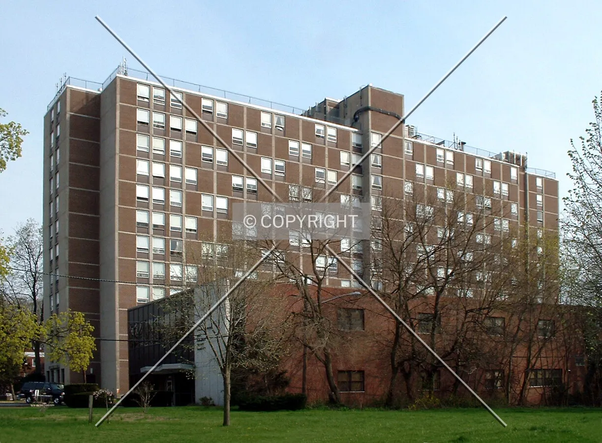 View from the northwest