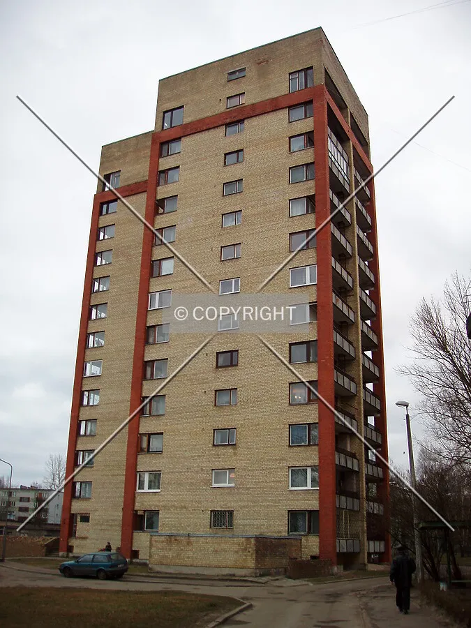 View from street next to yard