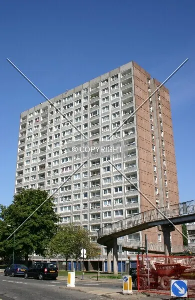 Photo 324-004-676