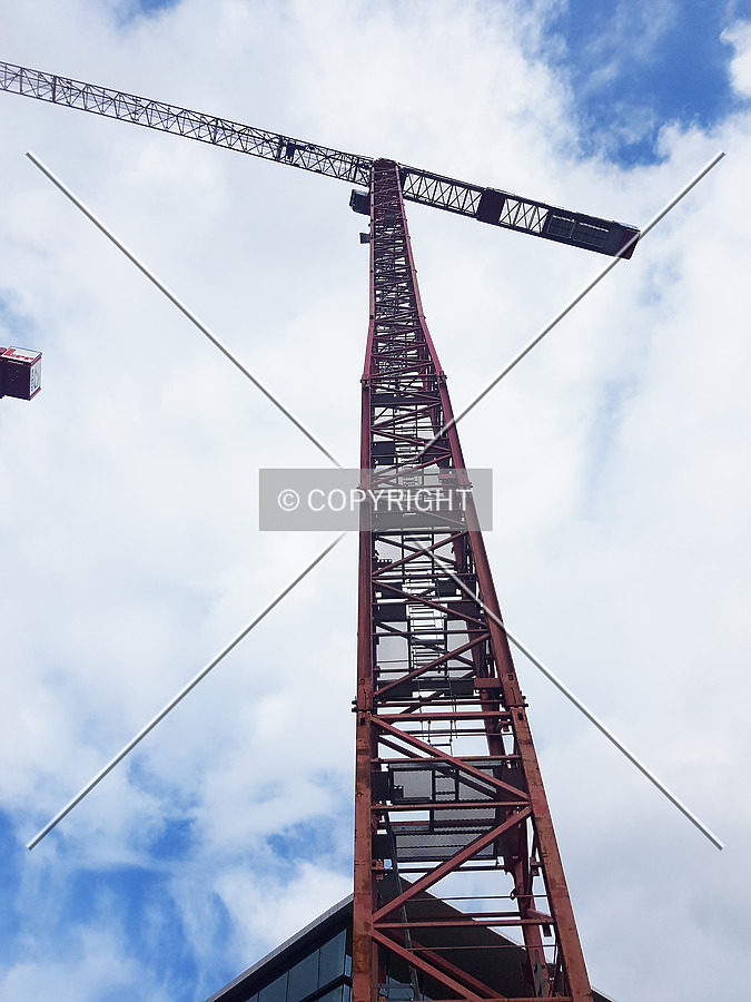 Photo 324-011-562