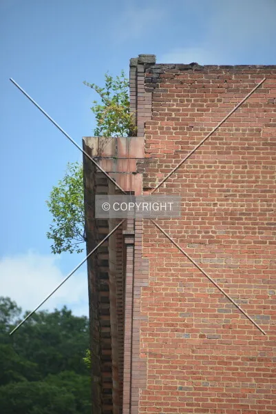 Photo 324-100-980