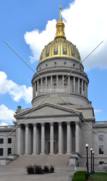 Photo 324-145-290