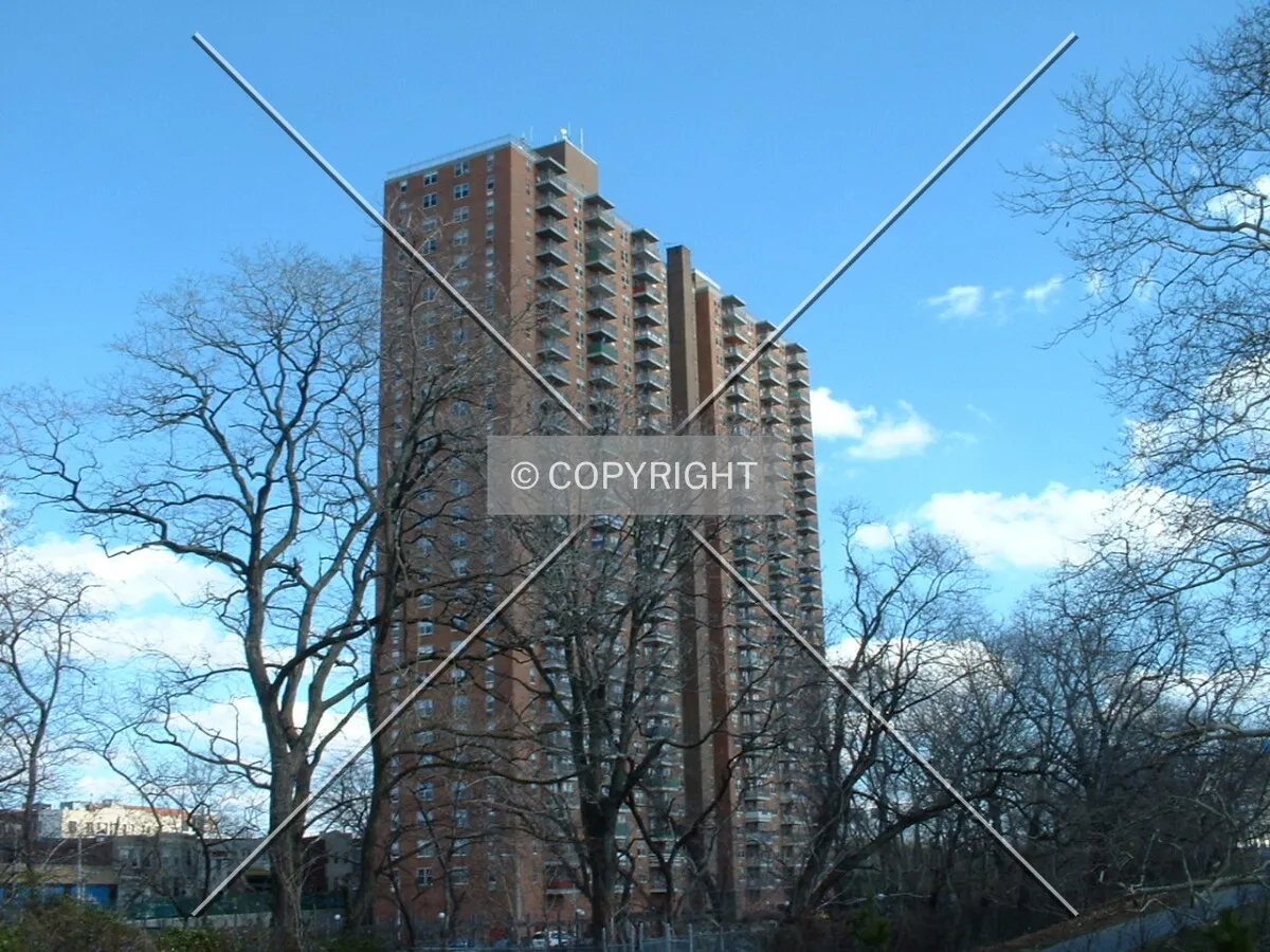 Photo 324-223-115