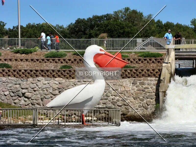 Photo 324-285-332