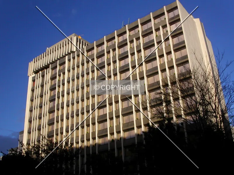 Photo 325-129-317