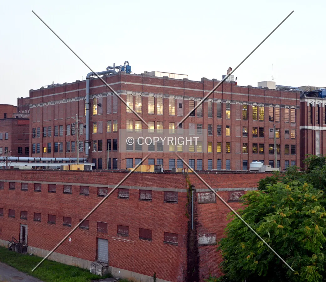 View from the north