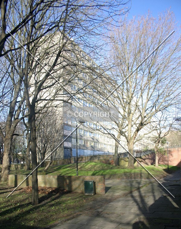View north along the east side