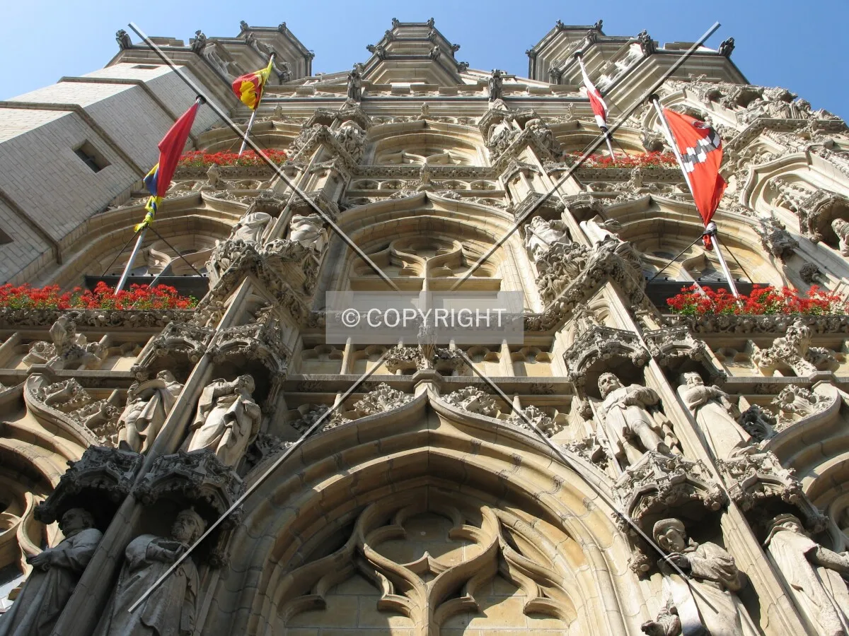 Looking up from the east