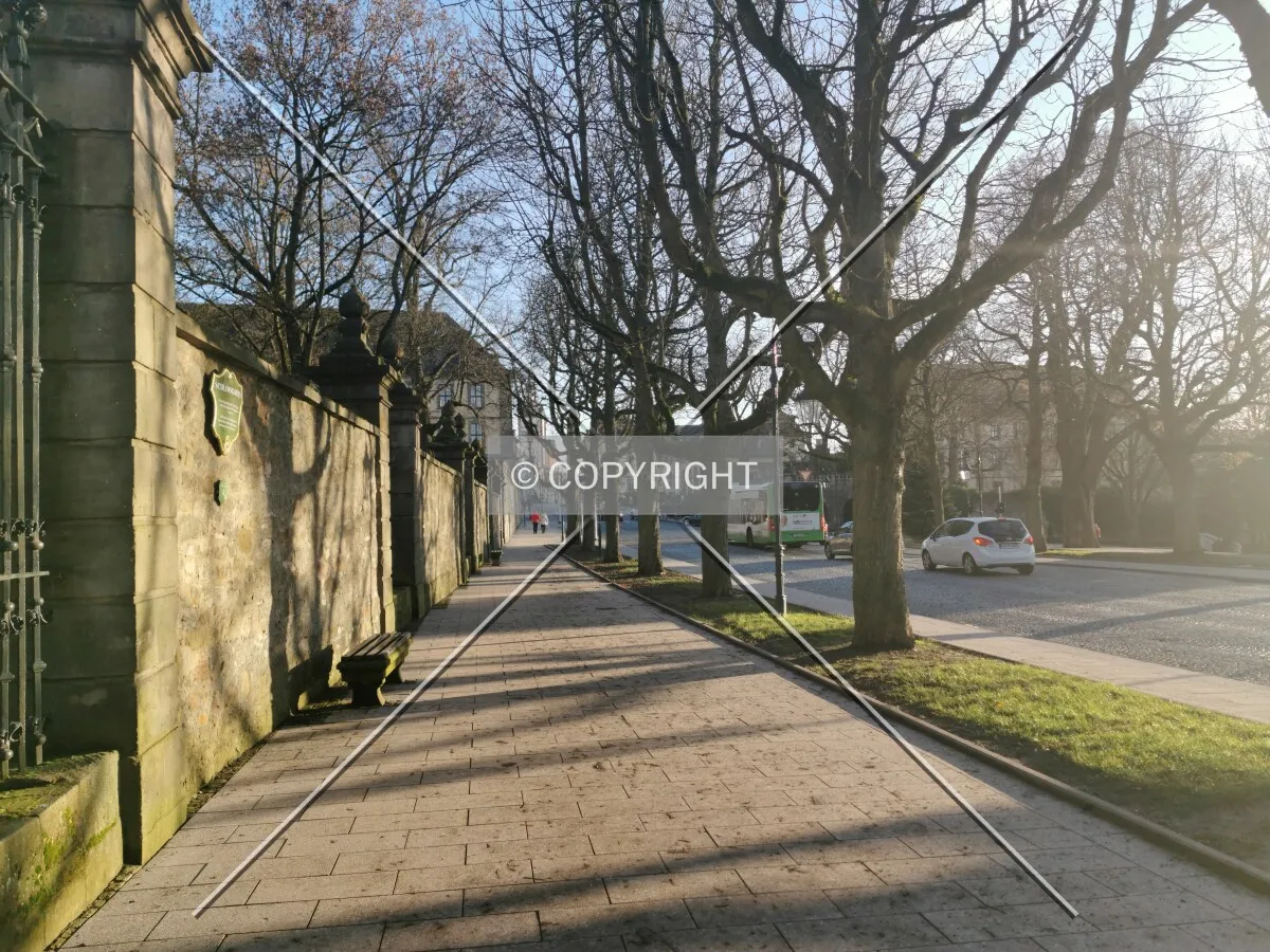 Photo 326-381-802