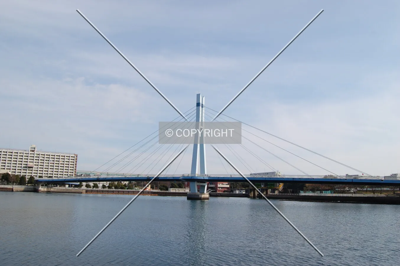 Photo 326-386-289