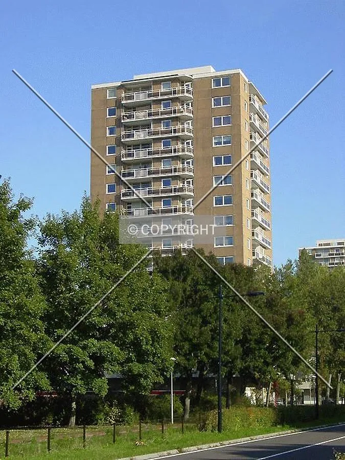 View from Zuidtangent