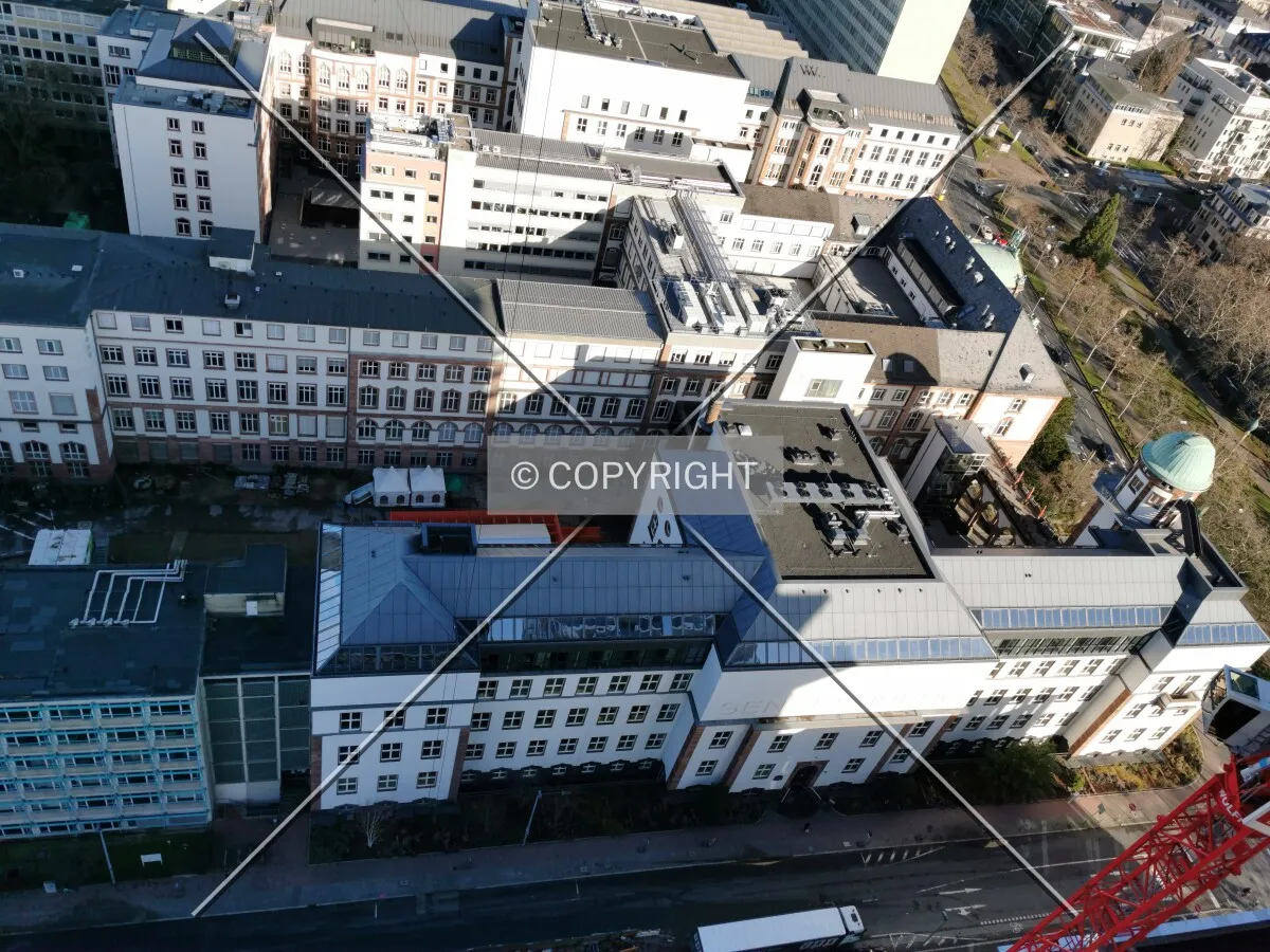 As seen from Senckenberg Turm