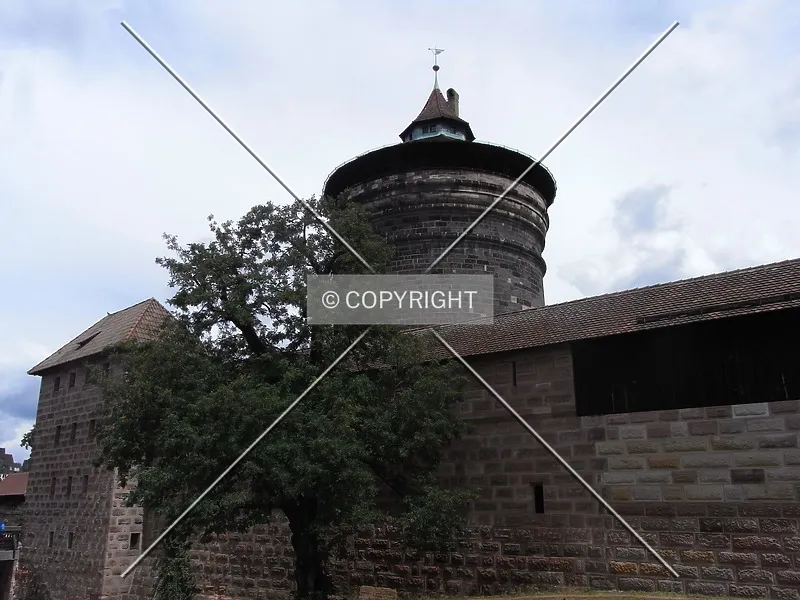 Photo 327-276-318