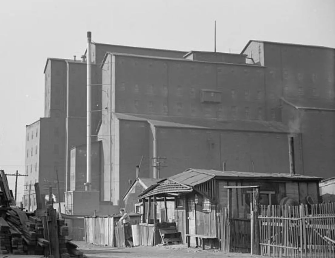 Vintage view