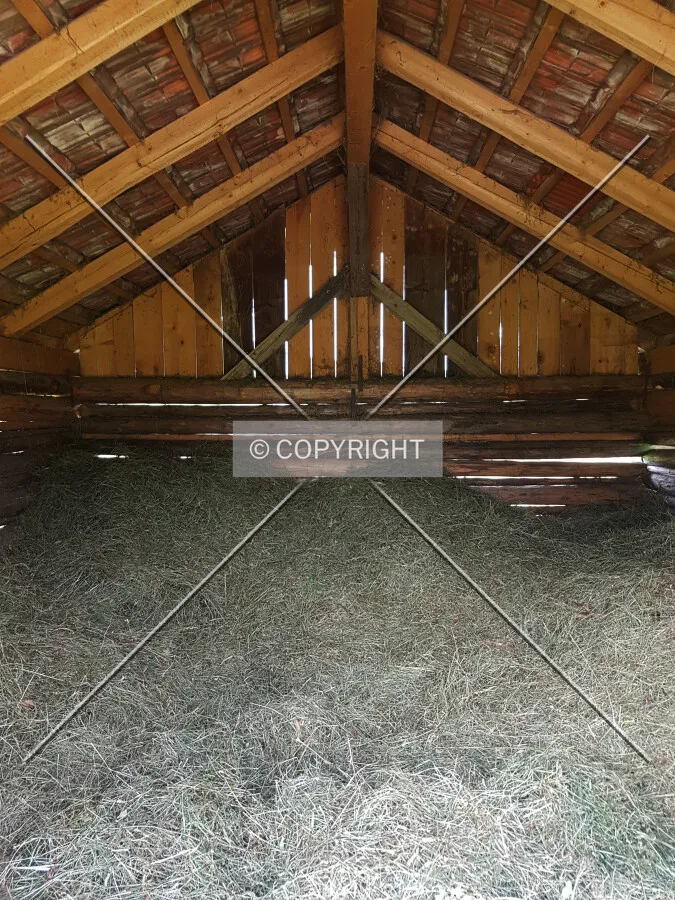 Photo 327-424-865