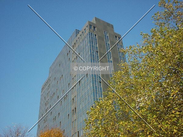 Top of the building